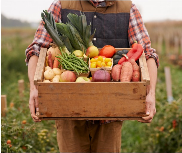 全球购蔬菜农产品 --链接世界,品味自然