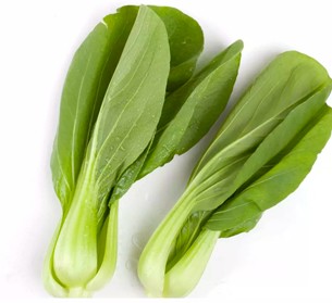 上 海 青  6.3 (HKD)/斤/605克