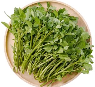 西洋菜  14 (HKD)/斤/605克